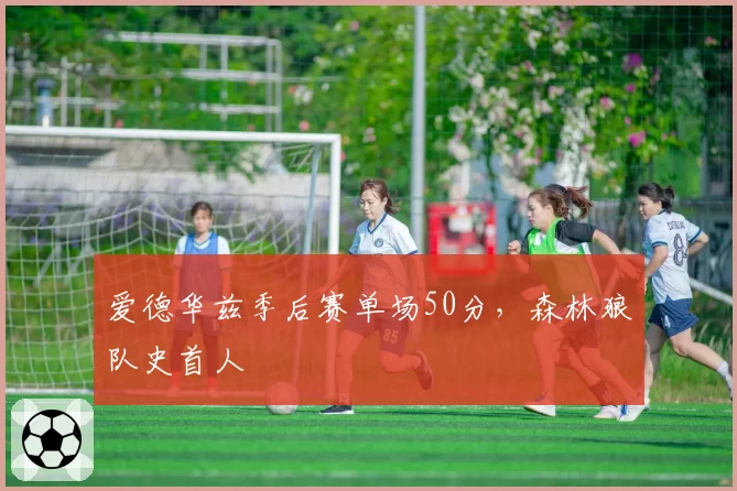 爱德华兹季后赛单场50分，森林狼队史首人