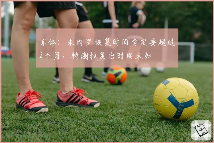 东体：米内罗恢复时间肯定要超过2个月，特谢拉复出时间未知