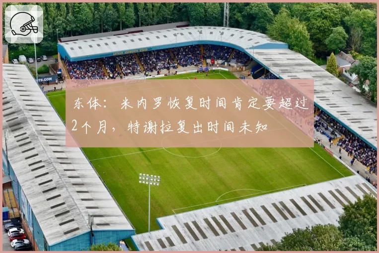 东体：米内罗恢复时间肯定要超过2个月，特谢拉复出时间未知