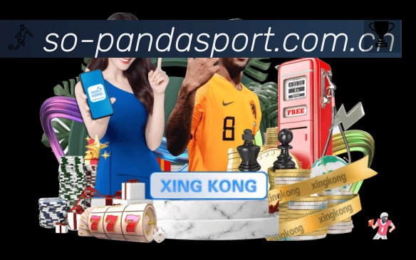 结构优化认证展示